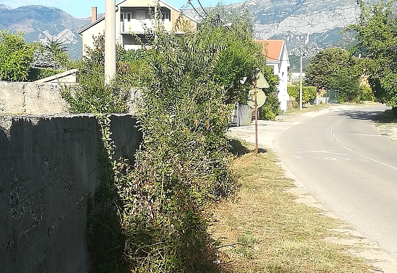 Preko trnja do škole: Raštani još čekaju na 'godinu dana' obećani nogostup 