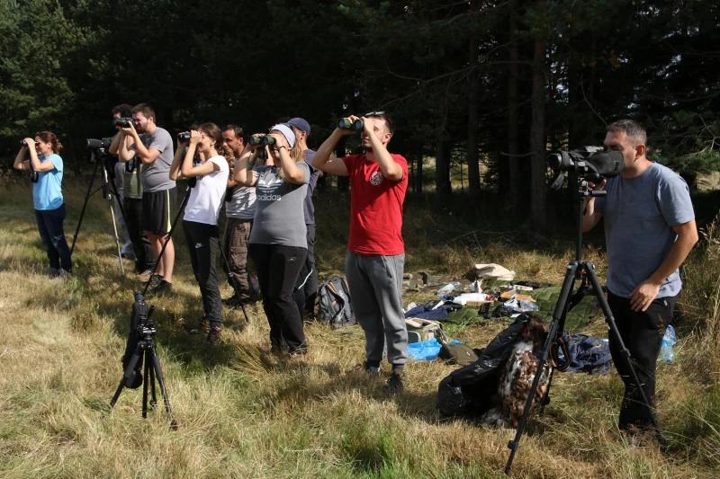 Kupreško i Ravanjsko polje: Organiziran kamp za monitoring grabljivica