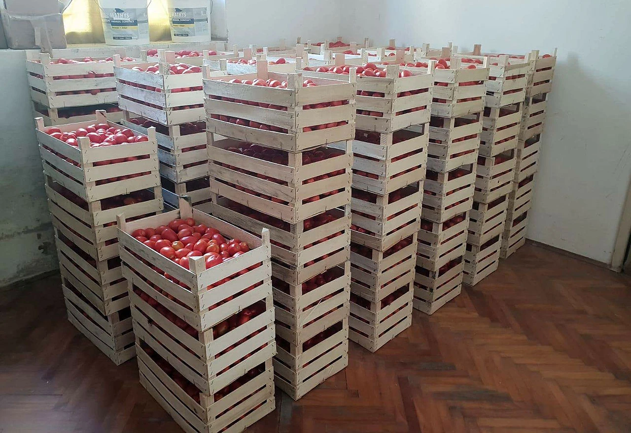Tona i pol rajčice stigla Crvenom križu ŽZH