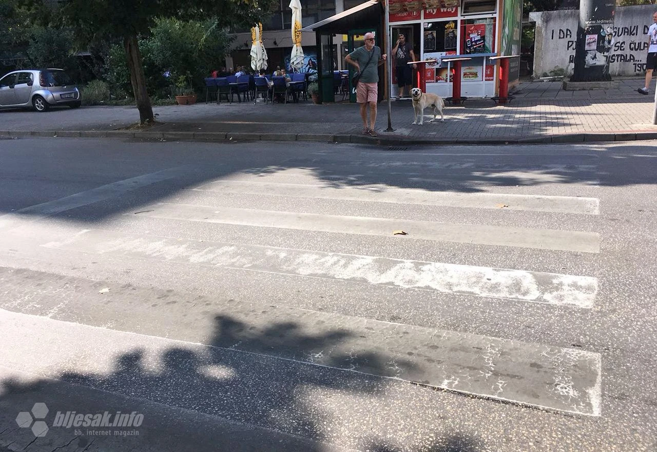Mostarski đaci zebre mogu vidjeti samo u knjigama
