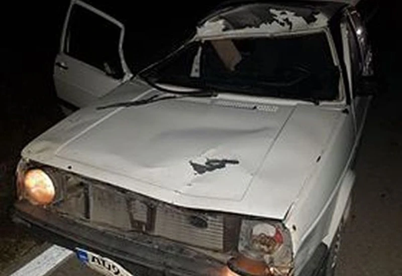 Golfom udario divlje konje, vozač i suvozač ozlijeđeni, dva konja uginula