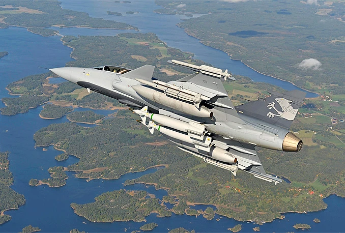Ptice srušile borbeni avion