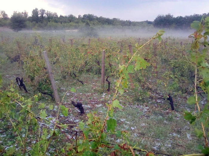 Tuča napravila veliku štetu u Čitluku
