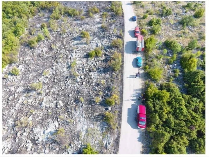 Čitluk: Oko 1000 hektara šume izgorjelo u požaru