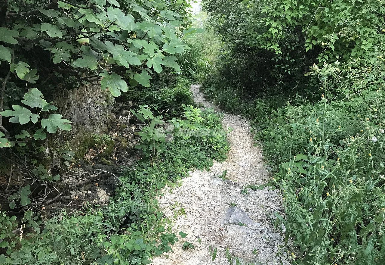 Džungla na ulazu u prirodni biser Širokog Brijega