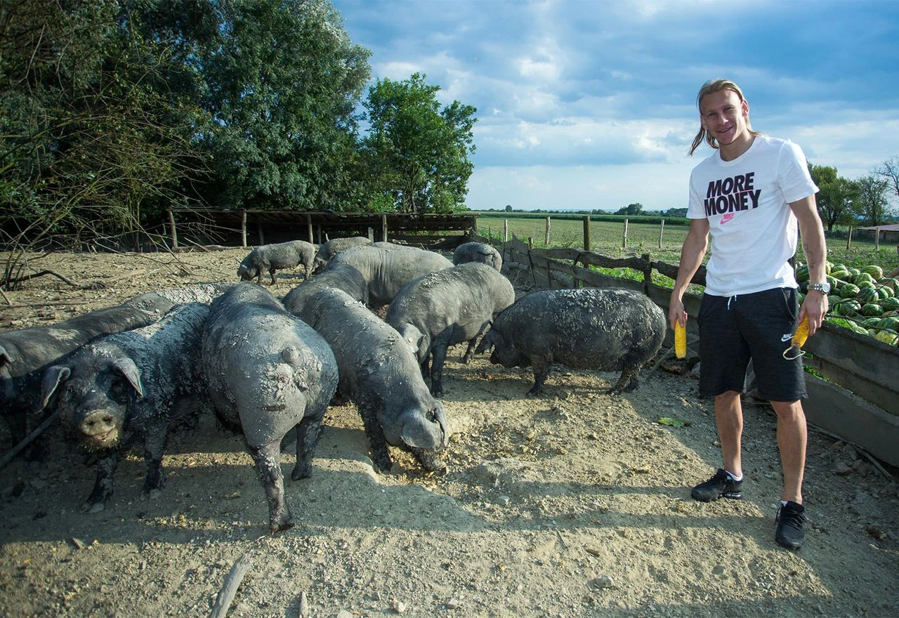 Vida ima farmu crnih svinja, a u Rusiju je ''prošvercao'' kulen