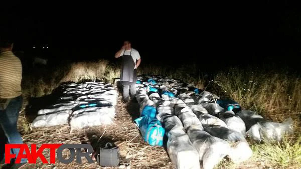 U Neumu palo 650 kg skunka