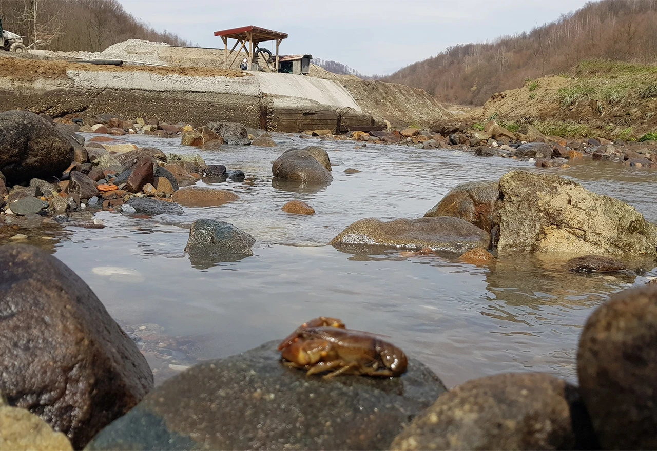 U Kupresu zabranjen lov na riječne rakove
