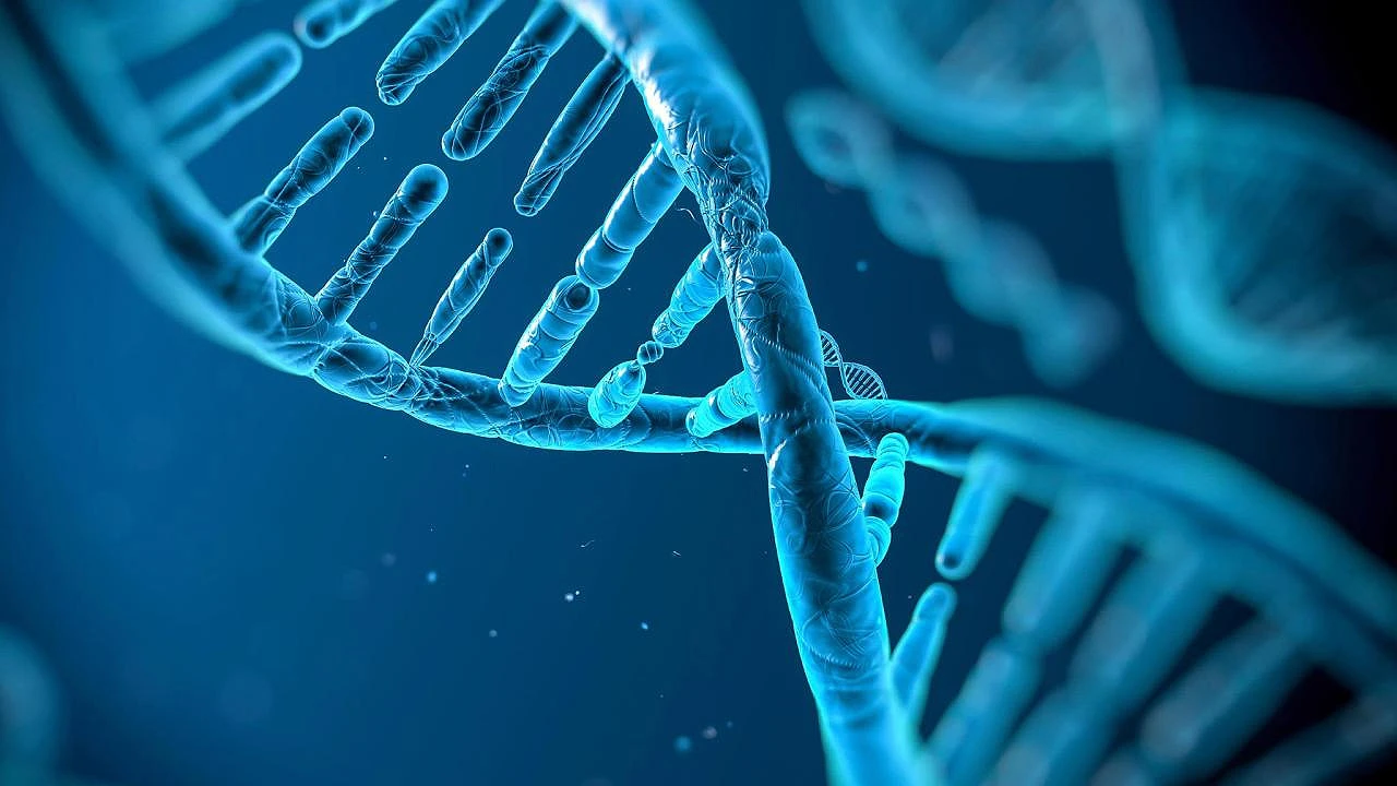 Učenica iz Mostara pobijedila na europskom natjecanju za genetiku