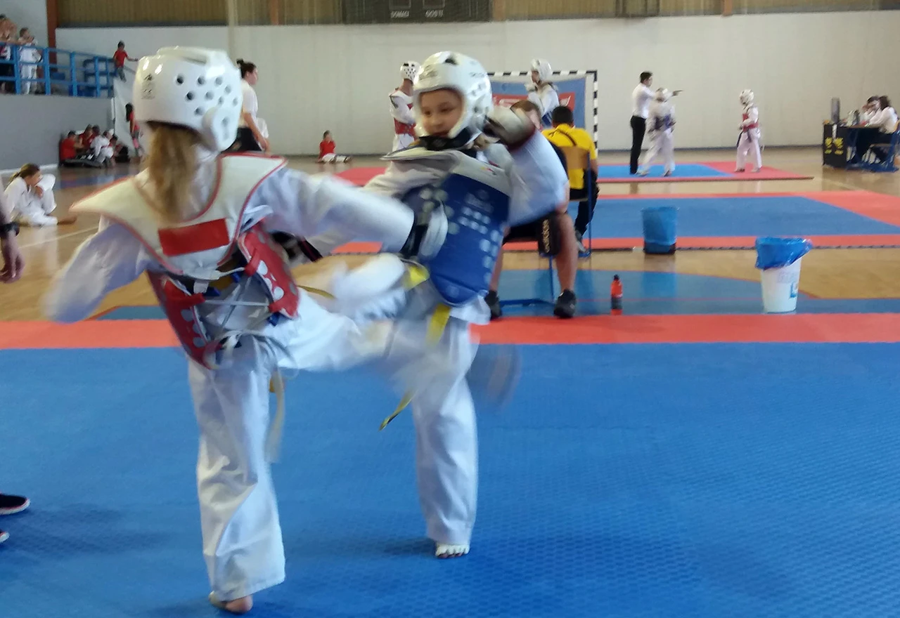 Zadar Open 2018. - 9 medalja za mostarski Cro Star