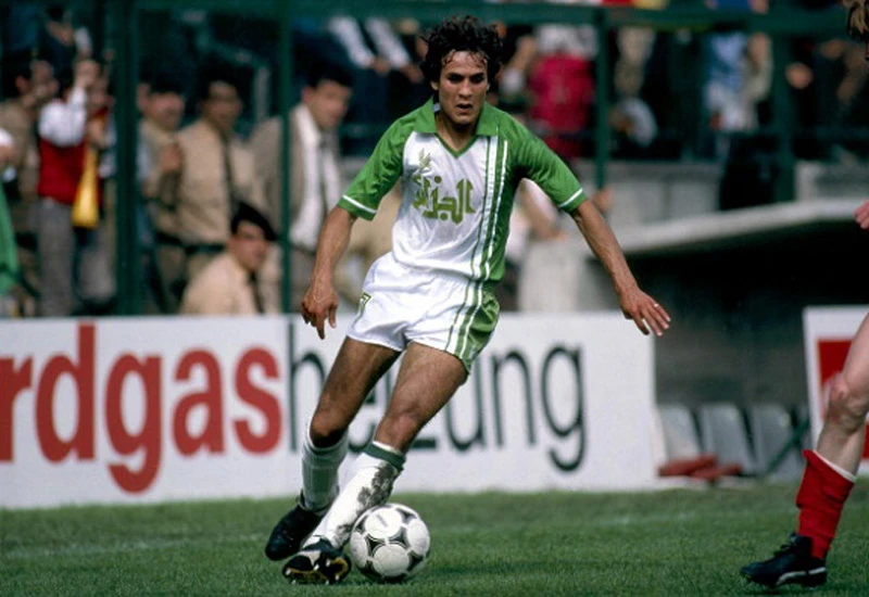 Madjer - najveća pustinjska lisica