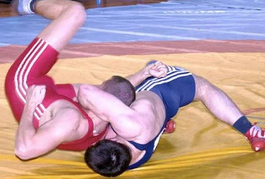 Dvije medalje za mlade hrvače Bosne u Ludbregu