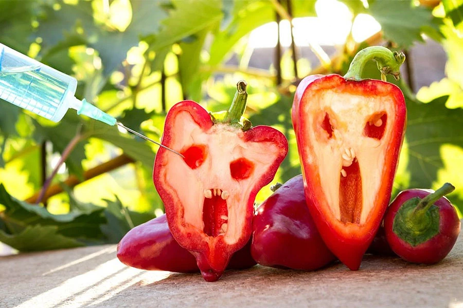 GMO hrana ušla u BiH na mala vrata