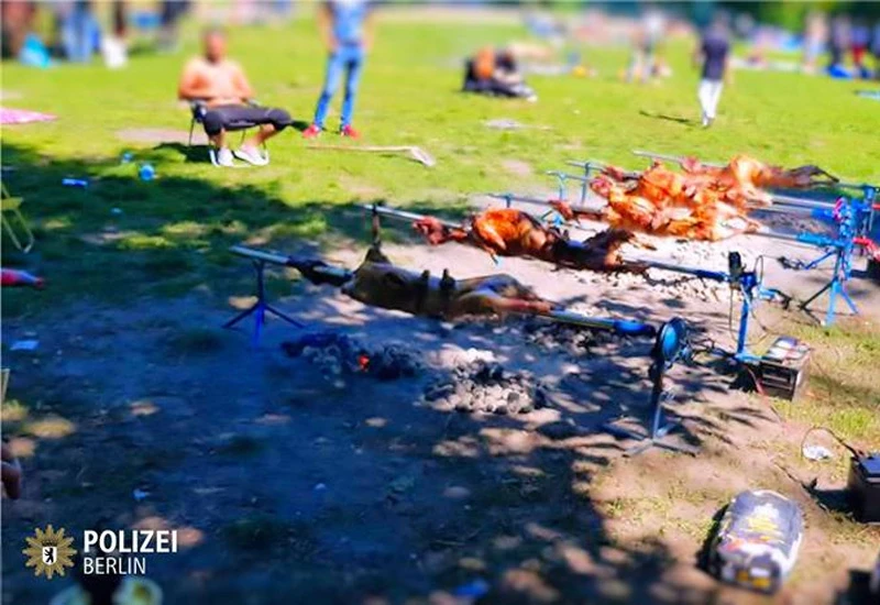 Nijemci u šoku: Grupa ljudi iz BIH u parku ''okrenula'' 12 janjaca