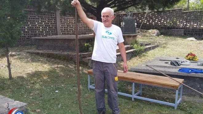 Hercegovina: Stanovnici se bore sa zmijama