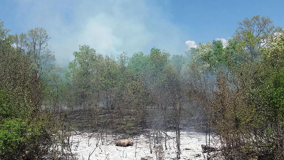 Široki Brijeg: Vatrogasci uspješno ugasili šumski požar