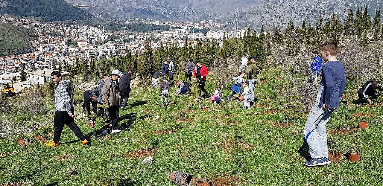 Akcija pošumljavanja u Mostaru: Volonteri posadili 4500 sadnica