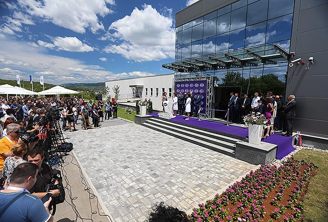 Violeta: Priča o uspjehu, opstanku i postanku