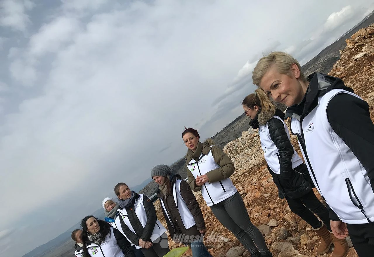 Stray Village: Službeno počela izgradnja skloništa za životinje