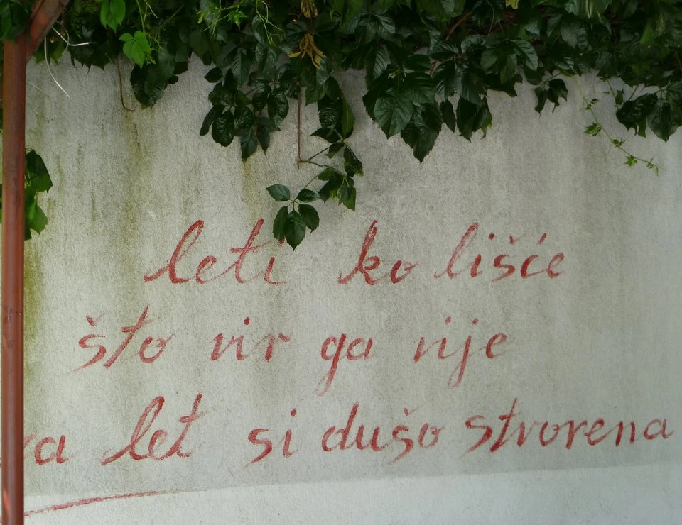Pjesnici iz regije za Bljesak: (Nije) vrijeme za poeziju
