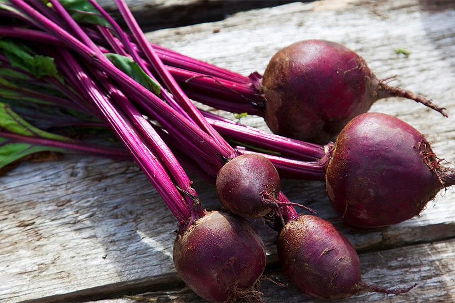 Čarobna biljka: Pomaže protiv raka, artrisa,...