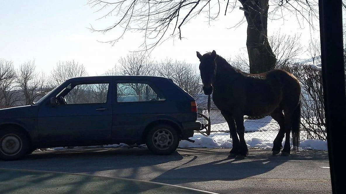 I ovo je BiH: Zavezao konja za Golfa