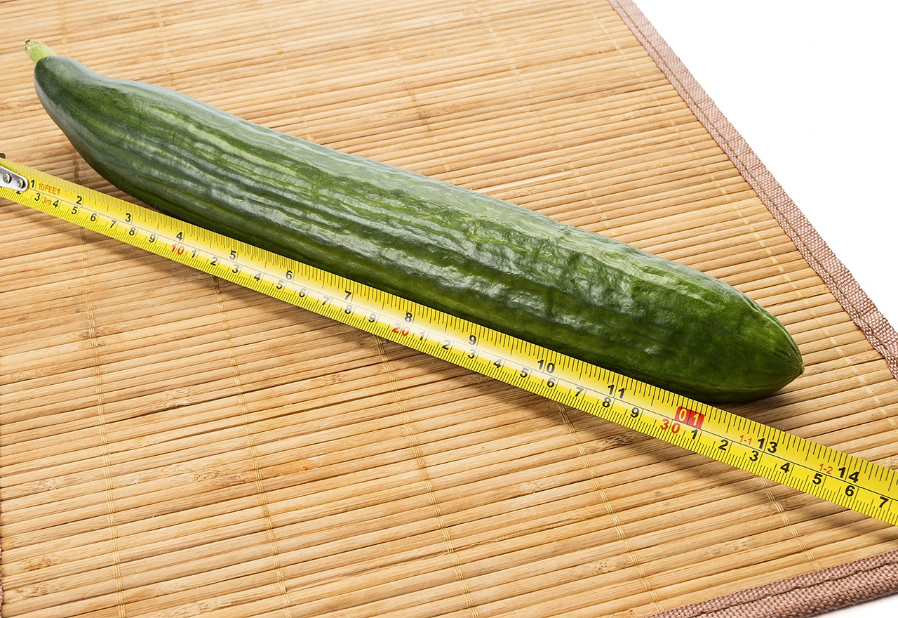 Istraživanje otkrilo koju veličinu ''veseljka'' žene smatraju savršenom!