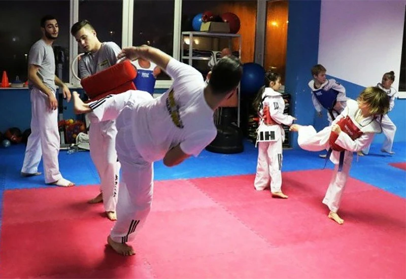 Novi Grad Sarajevo najuspješniji taekwondo kolektiv u BiH