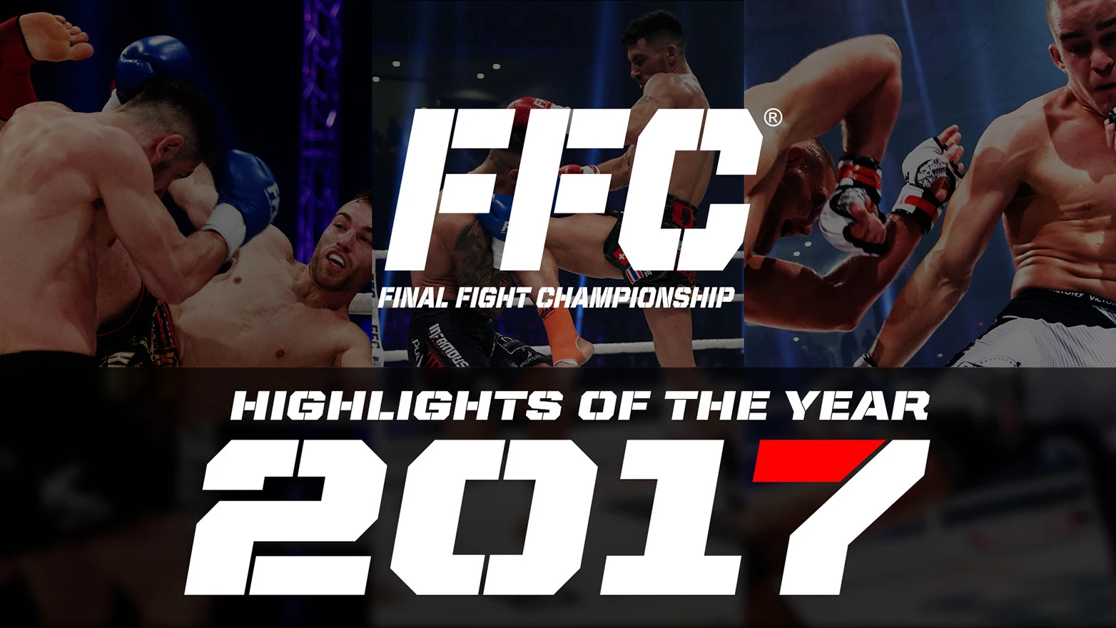 Najbolji potezi u FFC ringu koji su obilježili 2017. godinu!