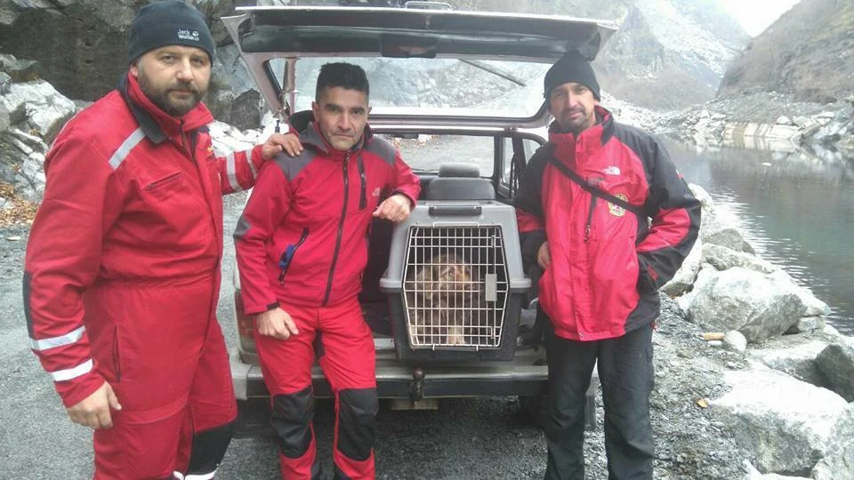 Spašen pas koji je mjesecima bio na brani Jablaničkog jezera