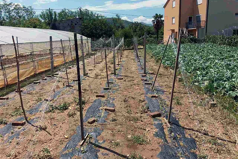 BiH ostaje bez europskog novca za poljoprivredu