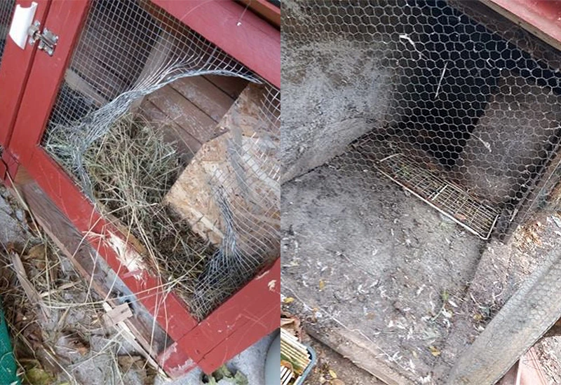 Psi bez nadzora teroriziraju mostarsko prigradsko naselje