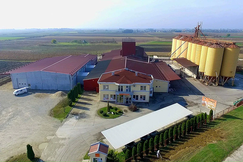 Pravilna ishrana pilića i koka nosilja