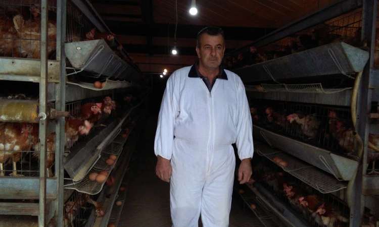 Zarada na farmi koka: Svako tko hoće može naći posao od kojeg će živjeti