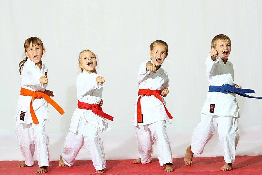 Održan VII. kup Šujice u taekwondou
