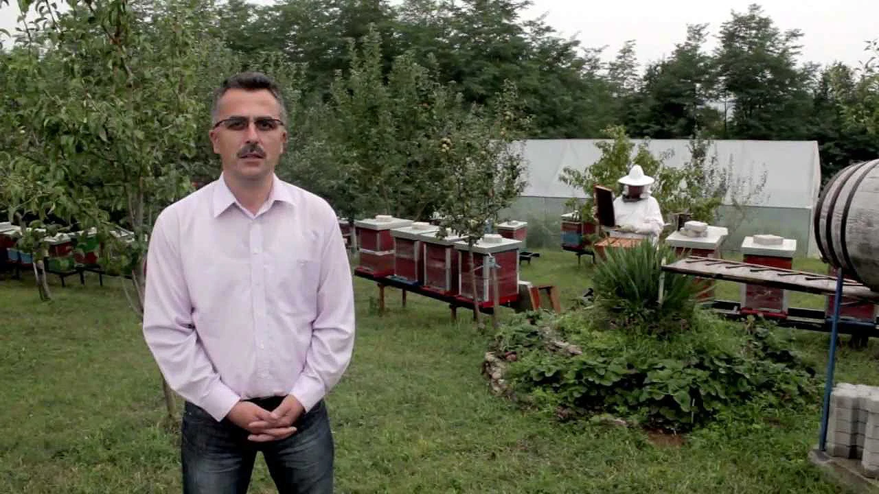 Uhićen uposlenik gradske uprave