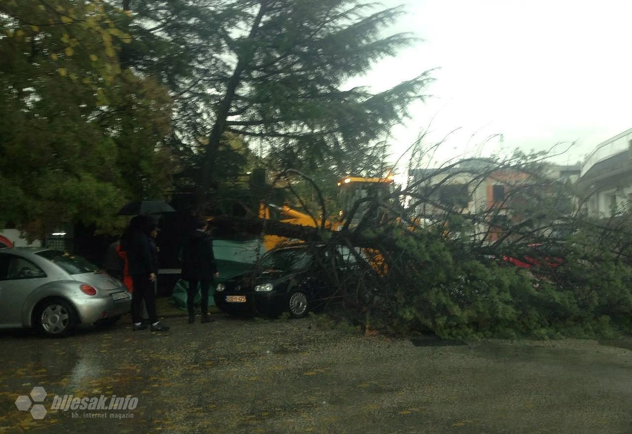 Mostar: Bor pao po Golfu u Dubrovačkoj, grana pala u Splitskoj