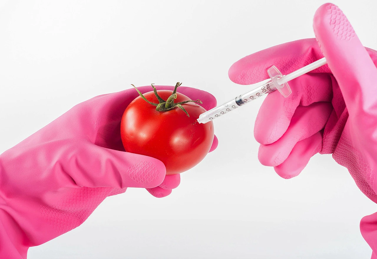 Ulazi li GMO hrana na mala vrata u BiH?