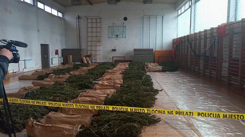 Policija je napokon izvagala marihuanu: Otkriveno skoro tisuću kg droge   