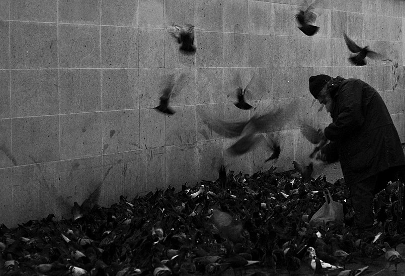 Street Arts Festival predstavlja izložbu fotografija američke autorice Isabelle Randolph