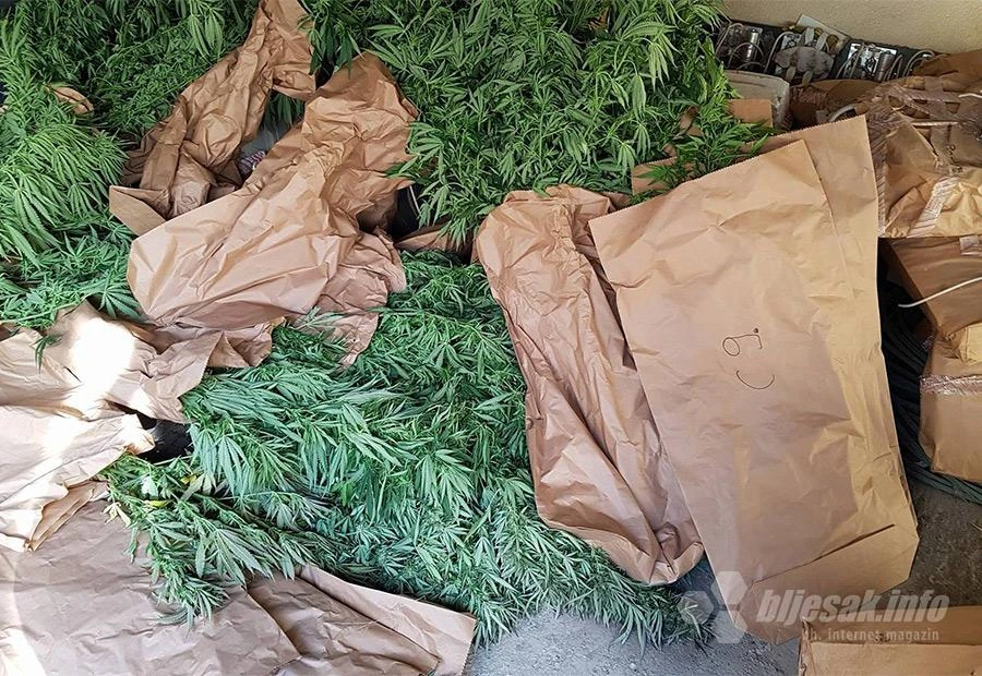 Mostar| Poznati detalji policijske akcije u kojoj je zaplijenjena veća količina marihuane