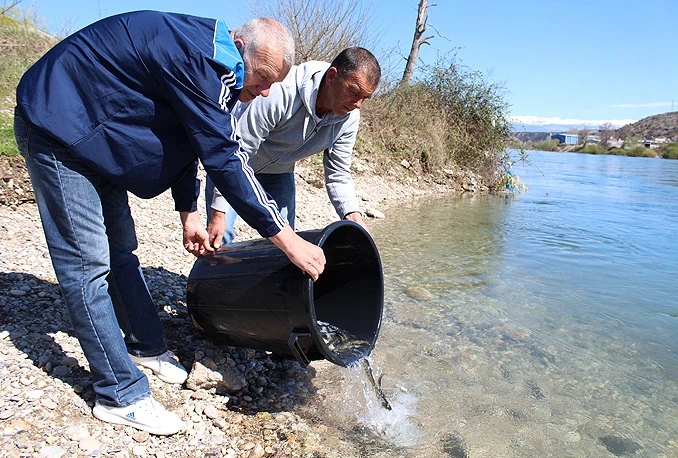 Jablaničko jezero bit će poribljeno sa 22.000 komada ribe