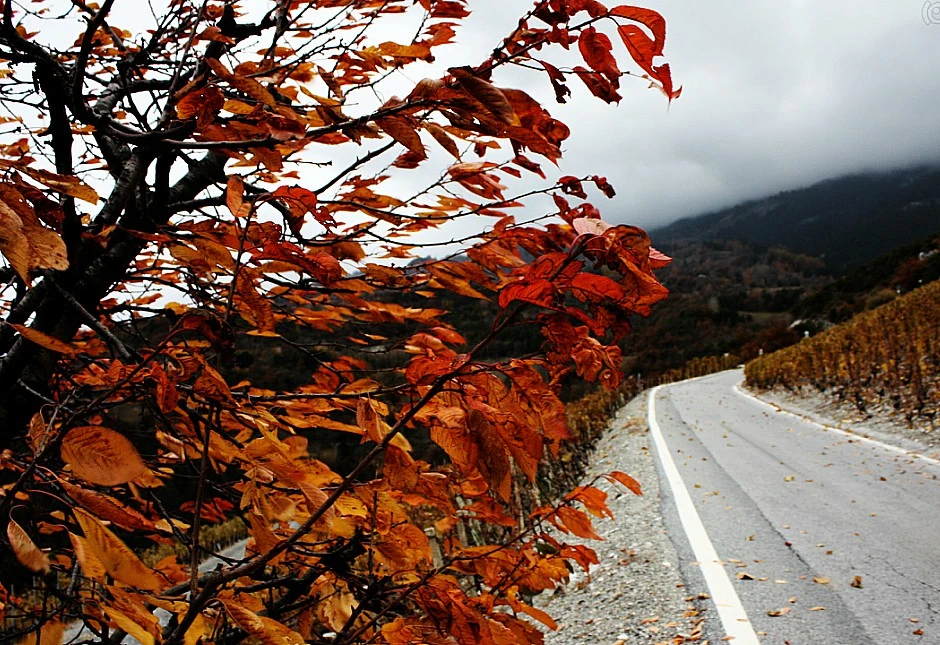 Hercegovina: Upaljen meteoalarm zbog vjetra