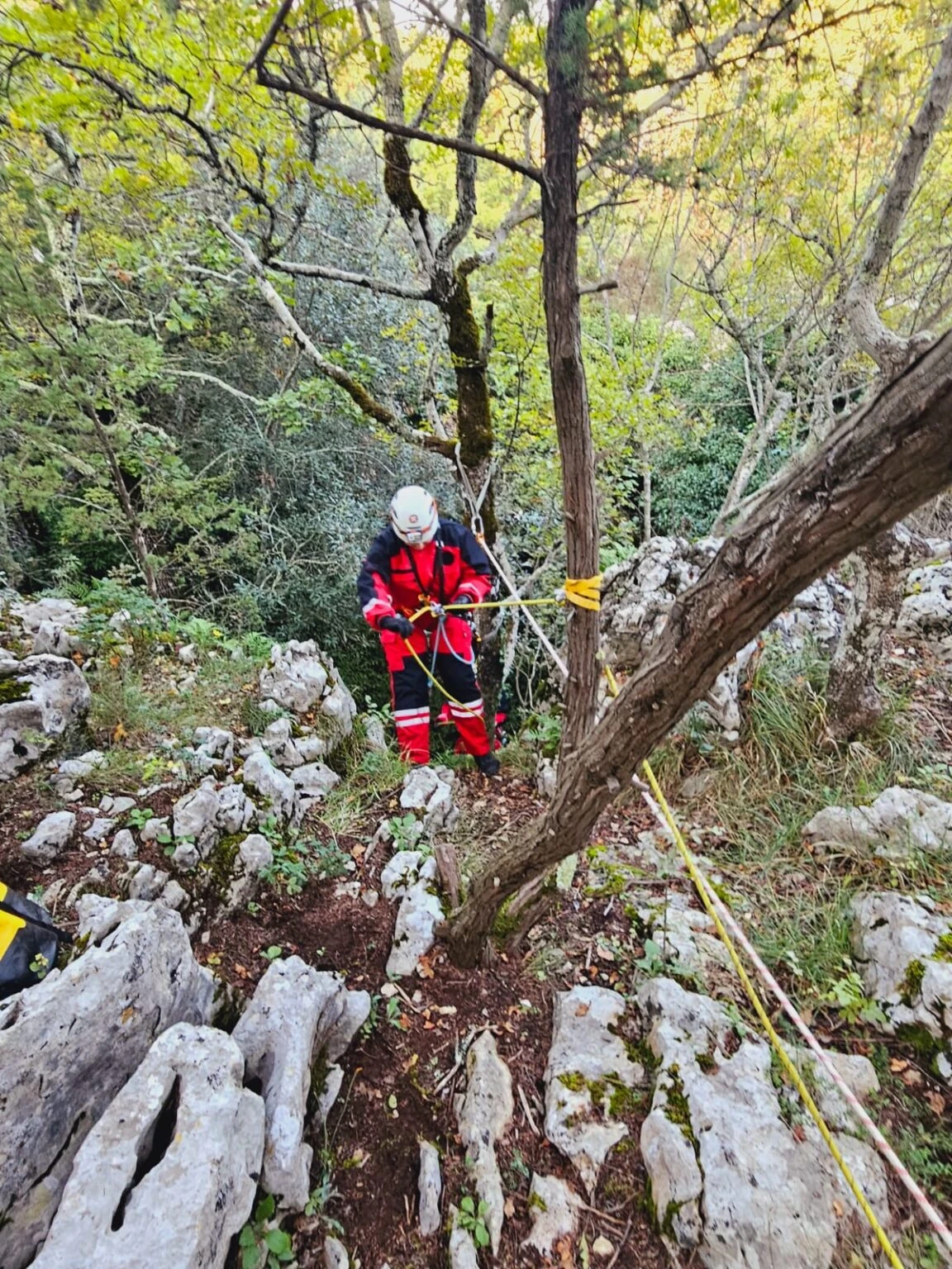 GSS Ljubuški spašavao pse iz jame, jedan uginuo