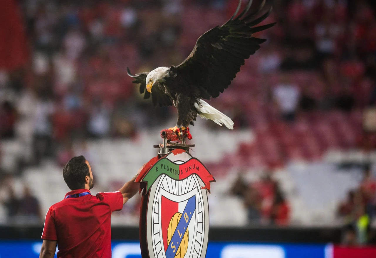Benfica optužena za korupciju i namještanje, tužitelj traži suspenziju kluba