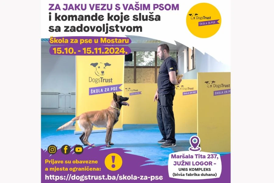 Besplatna obuka pasa u Mostaru