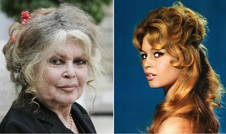 Brigitte Bardot slavi 90. rođendan: Seks-ikona uz rame Marilyn Monroe