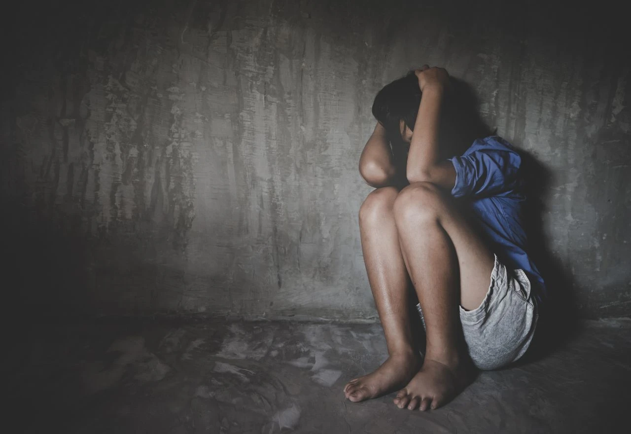 VIDEO | Što donosi registar pedofila i tko će imati pristup? 