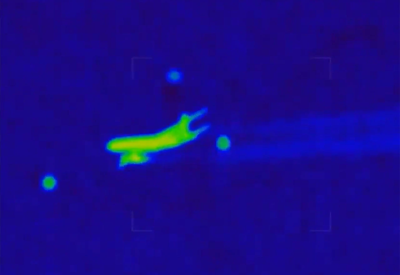 Američki znanstvenik Ashton Forbes ima jezovitiju teoriju o nestanku leta MH370, pokazao je video kao dokaz