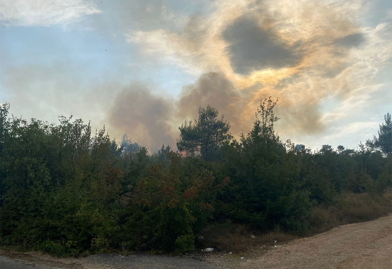 Požar na Gubavici ugašen, jutros aktivirano novo požarište